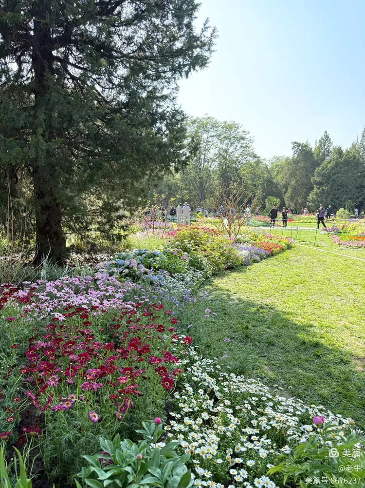 天坛百花园:五一的繁花之约